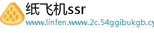 纸飞机ssr